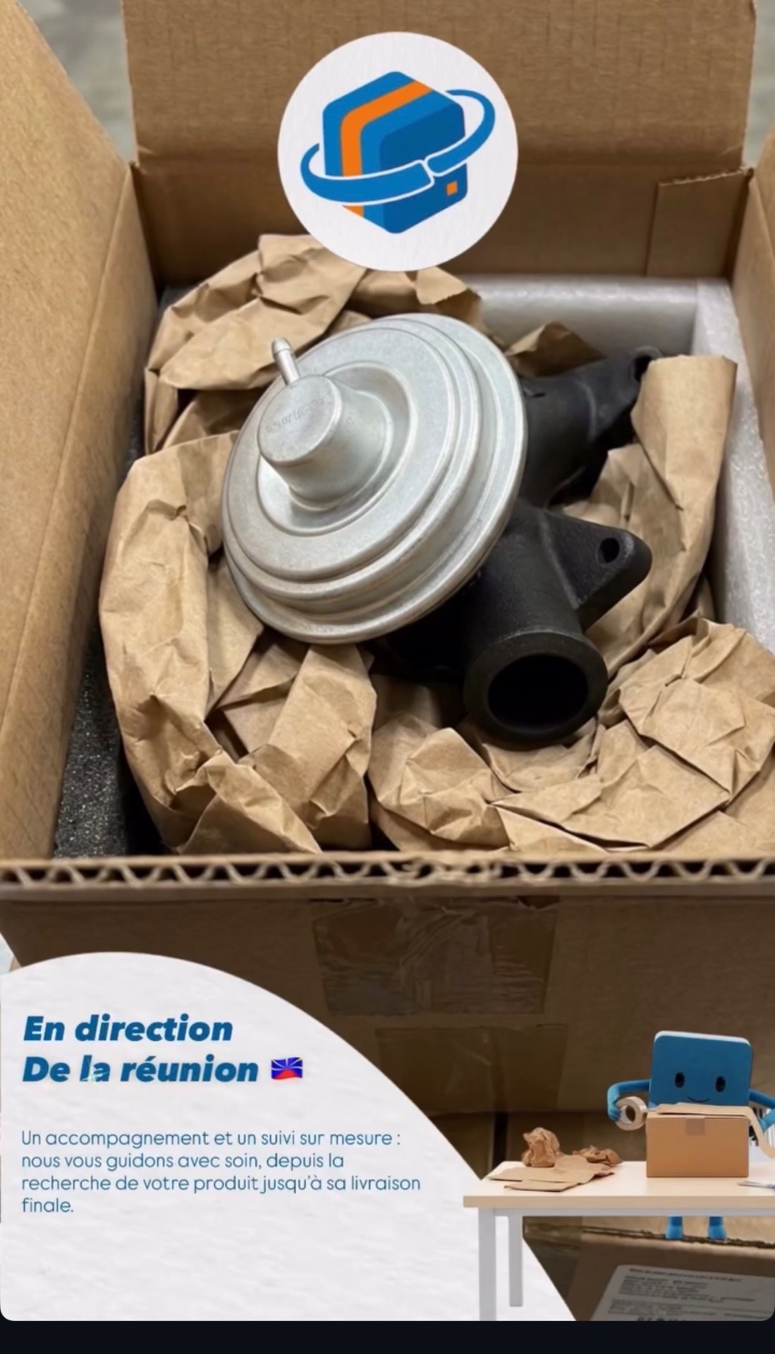 Vanne EGR calée et protégée dans son colis